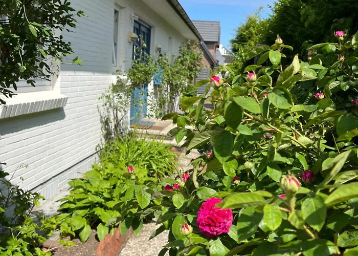 Kuestenglueck Sylt D1 * Westerland